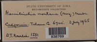 Image Associated With the Occurence